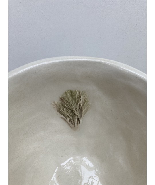 nature |bowl